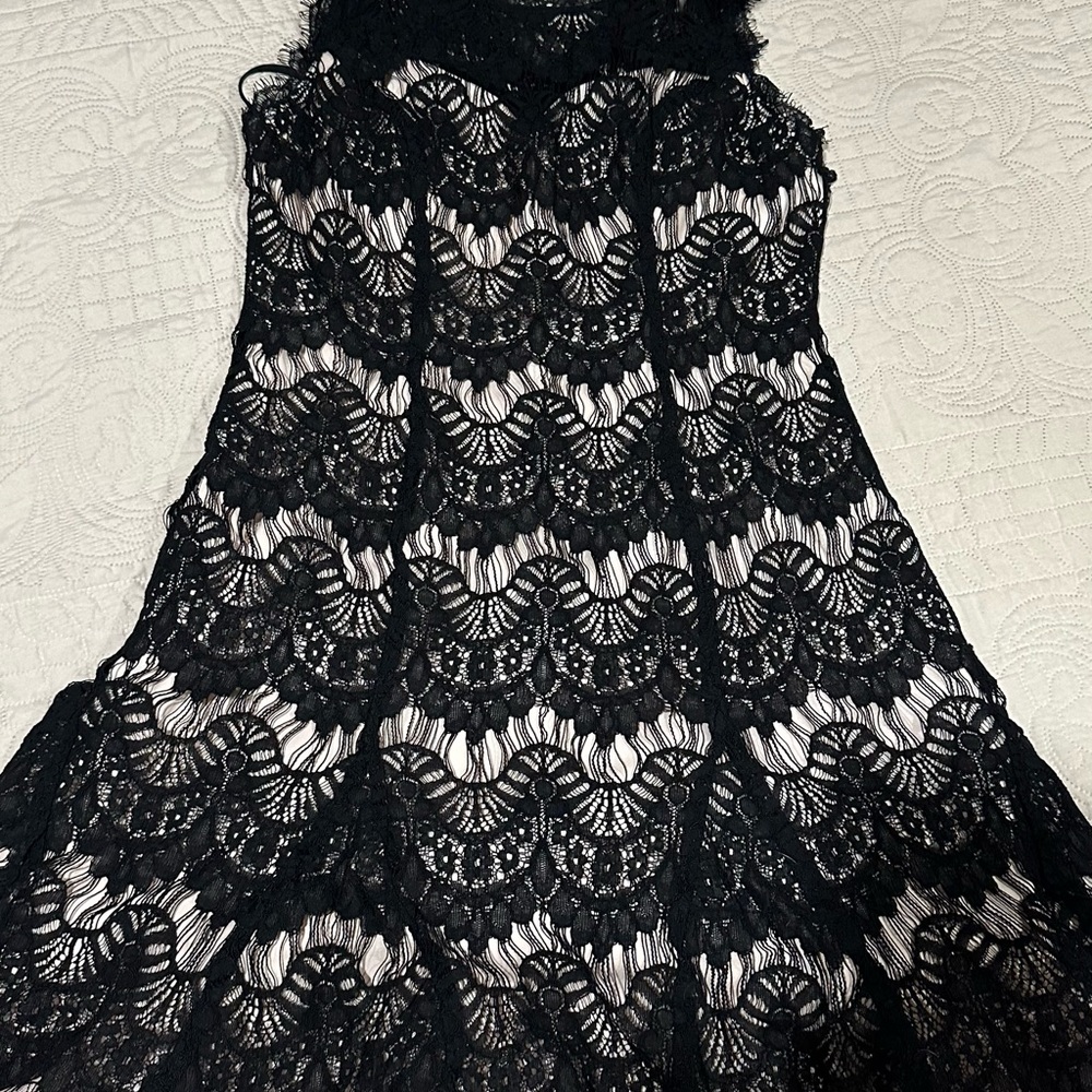 Dagne Dover Black Halter A-line Dress